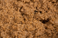 Pure Pellet Paste: In-use 05 Pure Pellet Paste: In-use 05