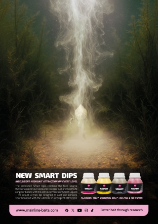 New Smart Dips Ad (2026)